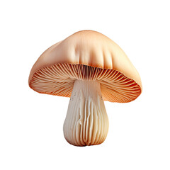 Depressed wild cap mushroom on transparent background isolated with path