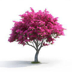 Obraz premium Bougainvillea flower or Pink flower. AI generetive