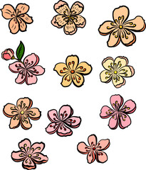 Free hand Sakura flower vector set, Beautiful line art Peach blossom isolate on white background.Cherry blossom illustration set.Element for weding card or printing on backdrop. 