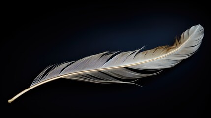a floating feather, black background, 3D rendering