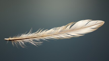 a floating feather, no background, 3D rendering
