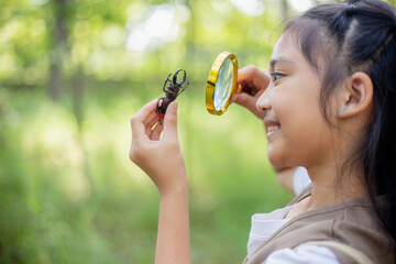 A little Asian girl using a magnifier to study a stag beetle in a park.