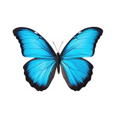 Obraz premium transparent background with solitary blue butterfly