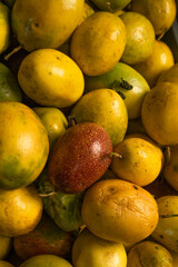 Delicious granadilla Passiflora ligularis