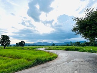 Fototapeta na wymiar road to rice field with blue sky