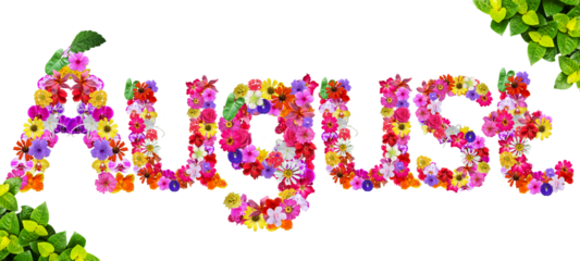 August shape made of various kinds of orchid flowers