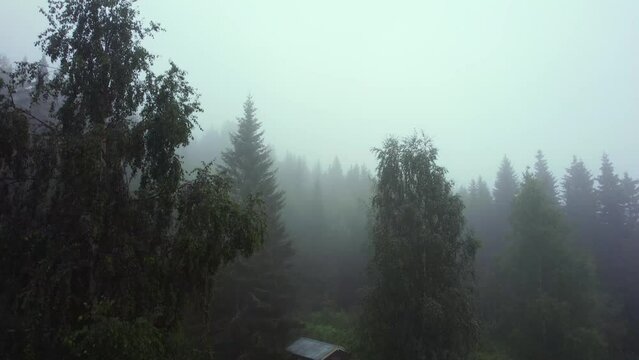 Boom down flyover of a mysterious cloud forest with a lonely and terrifying cabin