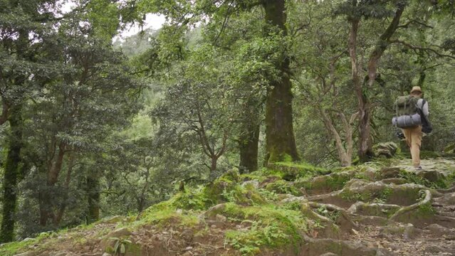 Young man hiker hiking in forest, khaliya top, uttarakhand, india.