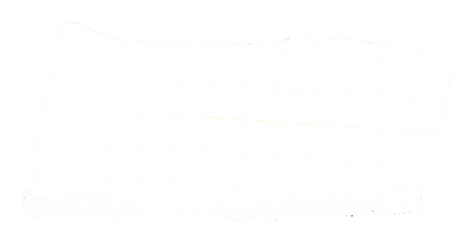 white paper torn high quality isolated