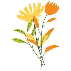 Flower bouquet. Wild flowers decoration flat illustration.