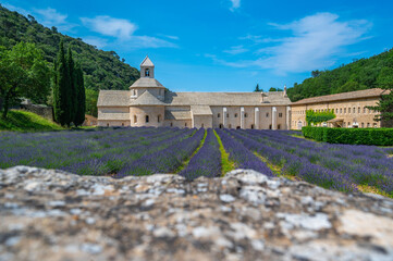 Senanque Abbey Gordes Provence Lavender fields, Notre-Dame de Senanque, blooming purple-blue lavender fields Luberon France, Europe, High quality photo