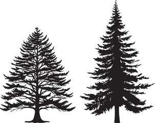 Pine tree silhouettes. Vector illustration.