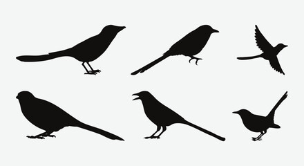 Fototapeta premium Graceful Magpie Silhouettes Set, Captivating Avian Bird Forms for Varied Creative Projects
