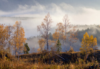Obraz na płótnie Canvas Autumn mountain landscape, forest and fog