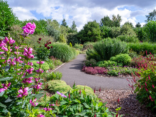 View over a path through a summer garden with flowers