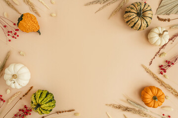 Frame made of beautiful decorative pumpkins and dried grass. Autumn fall season concept with mockup copy space. Flat lay, top view