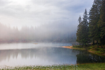 Fototapeta na wymiar misty morning landscape with lake in fall season. overcast sky above the forest reflecting on the water