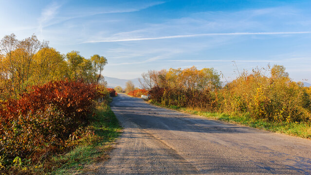 old asphalt road. trip through countryside in autumn. trees in fall foliage in morning light