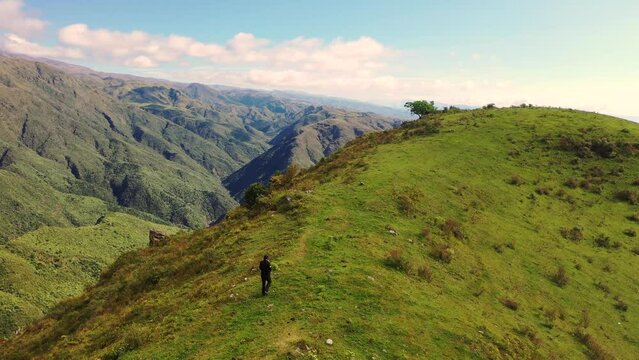 Tulipanes y paisajes en Catamarca, Argentina 