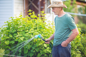 Farmer with garden hose and gun nozzle watering vegetable plants in summer. Gardening concept. Agriculture plants growing in bed row