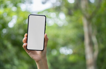 Girl holds in her hand a smartphone close-up, with a white screen against the backdrop of the blurred of nature.