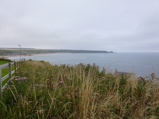 Cullen Bay in Cullen