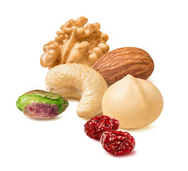 Pistachio, cashew, walnut, hazelnut, macadamia nuts and dried cranberries isolated on white...