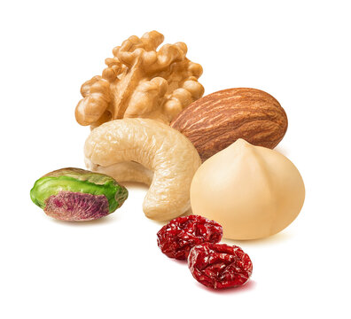 Pistachio, cashew, walnut, hazelnut, macadamia nuts and dried cranberries isolated on white background