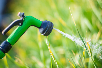 Farmer's hand with garden hose and gun nozzle watering vegetable plants in summer. Gardening concept. Agriculture plants growing in bed row