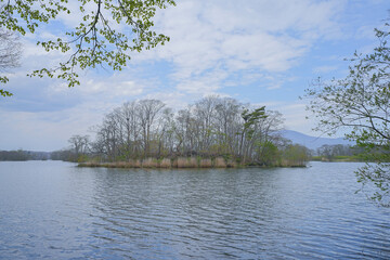 Obraz premium 大沼国定公園