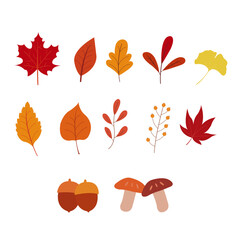  autumn leaf set