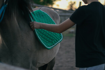getting/ preparing horse ready to ride