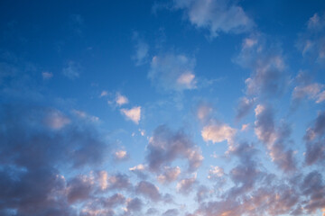 Fototapeta na wymiar Sunset. Blue sky and small clouds. 