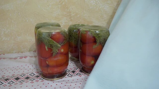 vegetables in a jar,home canned tomatoes,a woman covers jars of pickled tomatoes with a towel