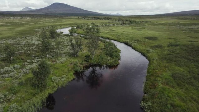 Aerial view: Green riparian landscape in remote wild valley of Norway