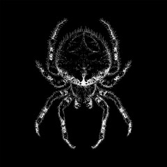 Cat-Faced Spider hand drawing vector isolated on black background.