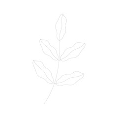 Organic leaf outline vector element