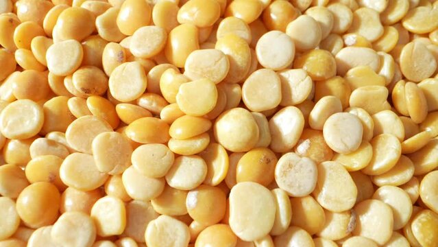 Explore the intricate world of Split Pigeon Peas (Toor Dal) through a mesmerizing macro video. Golden hues, rich textures, and captivating details, showcasing nature's beauty at a microscopic level.
