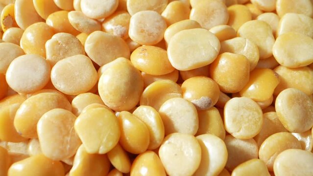 Split Pigeon Peas are yellow lentils rich in protein and nutrients. Their distinctive flavor and quick-cooking nature make them a staple in Indian cuisine, perfect for curries, soups, and stews.
