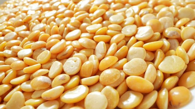 Macro video, split pigeon peas (Toor Dal) come to life. Tiny golden pulses reveal intricate textures as they tumble and shift, showcasing nature's artistry at a microscopic level.
