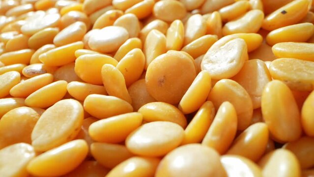 Explore the world of Split Pigeon Peas (Toor Dal) through a macro lens. Witness intricate textures, vibrant hues, and unique patterns in this culinary staple as it transforms from raw to cooked.
