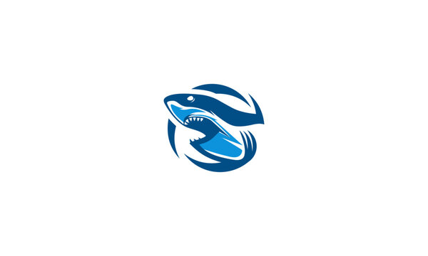 Shark Logo