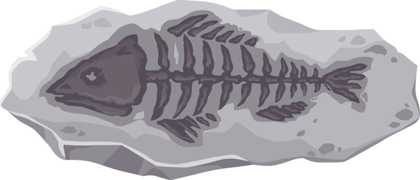 Dinosaur fossil, ancient fish skeleton stone imprint. Prehistoric sea animal vector silhouette in gray rock. Cartoon underwater fossil of paleontology museum, fish skeleton with head, bones and tail