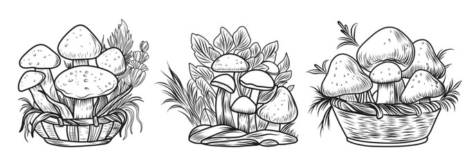 Mushrooms coloring page. Autumn composition linear illustration.Autumn coloring book for children.