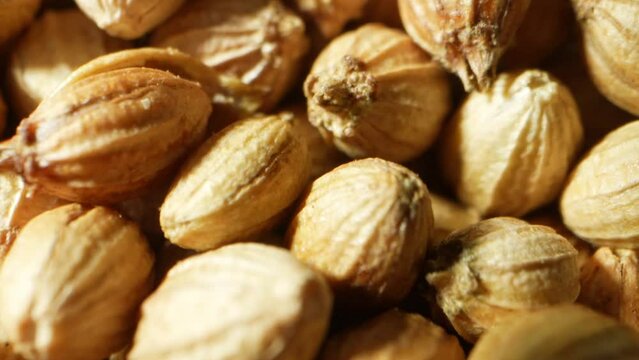Explore mesmerizing details of coriander seeds through a probe lens macro video. Delve into intricate textures, colors, and patterns in a captivating botanical journey.
