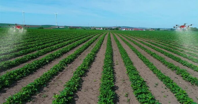 Using drones in agriculture to spray fields. Agro-drones in agriculture - Agro Drones. Crop Spraying Drones. Spraying agricultural fields