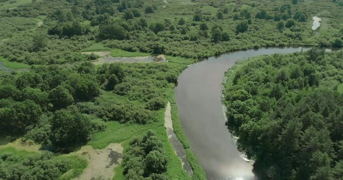 Nature aerial view, river valley, beautiful view from height of the rivers, swamps and green forests, ecology.