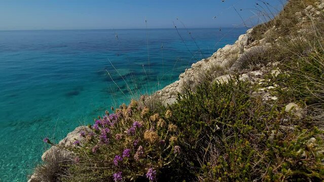 Seaside background with violet wild flowers on cliffs over blue turquoise Mediterranean sea in summer, colorful seascape