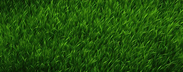 Poster Im Rahmen Green grass top view.  Grass or lawn wide banner or panorama photo © Michal