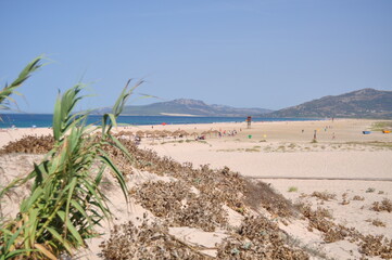 playa paraiso